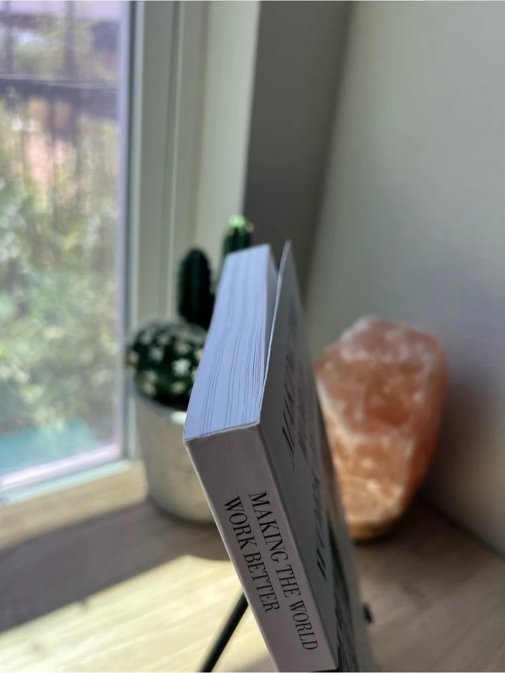 Making the World Work Better: IBM 100 Year History Paperback Business Tech Book